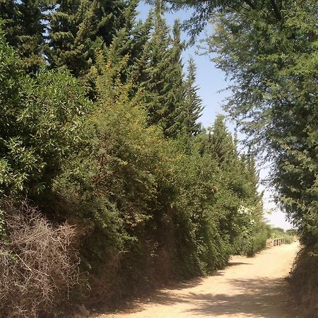 Le Jardin Touagana - Campement & Lodge Touggana 外观 照片