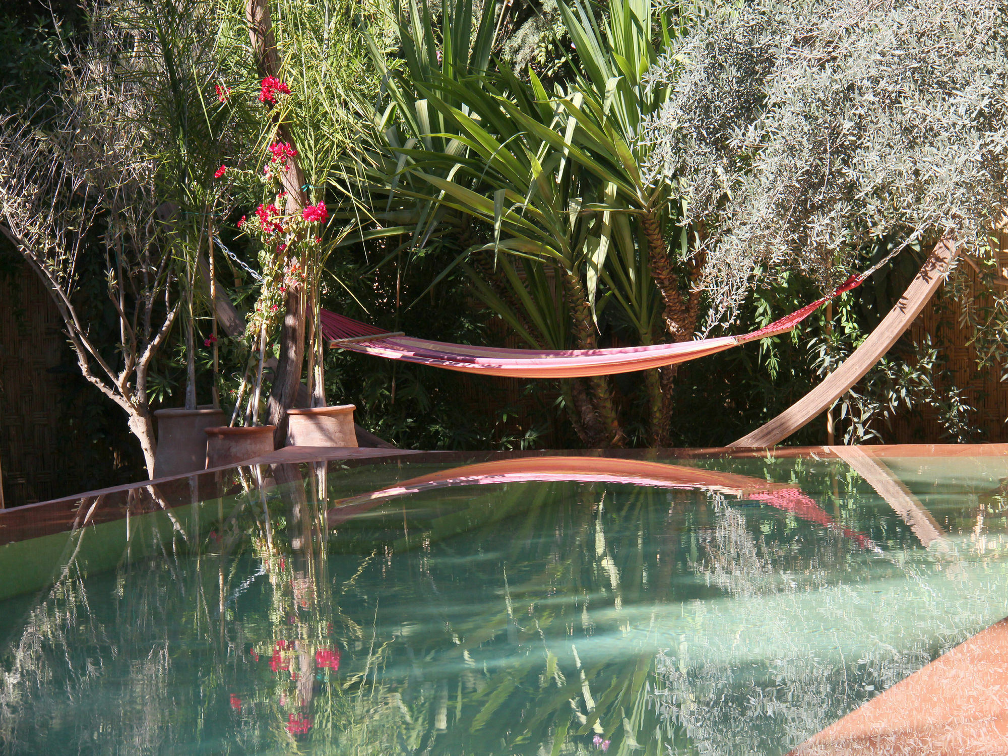 Le Jardin Touagana - Campement & Lodge Touggana 外观 照片