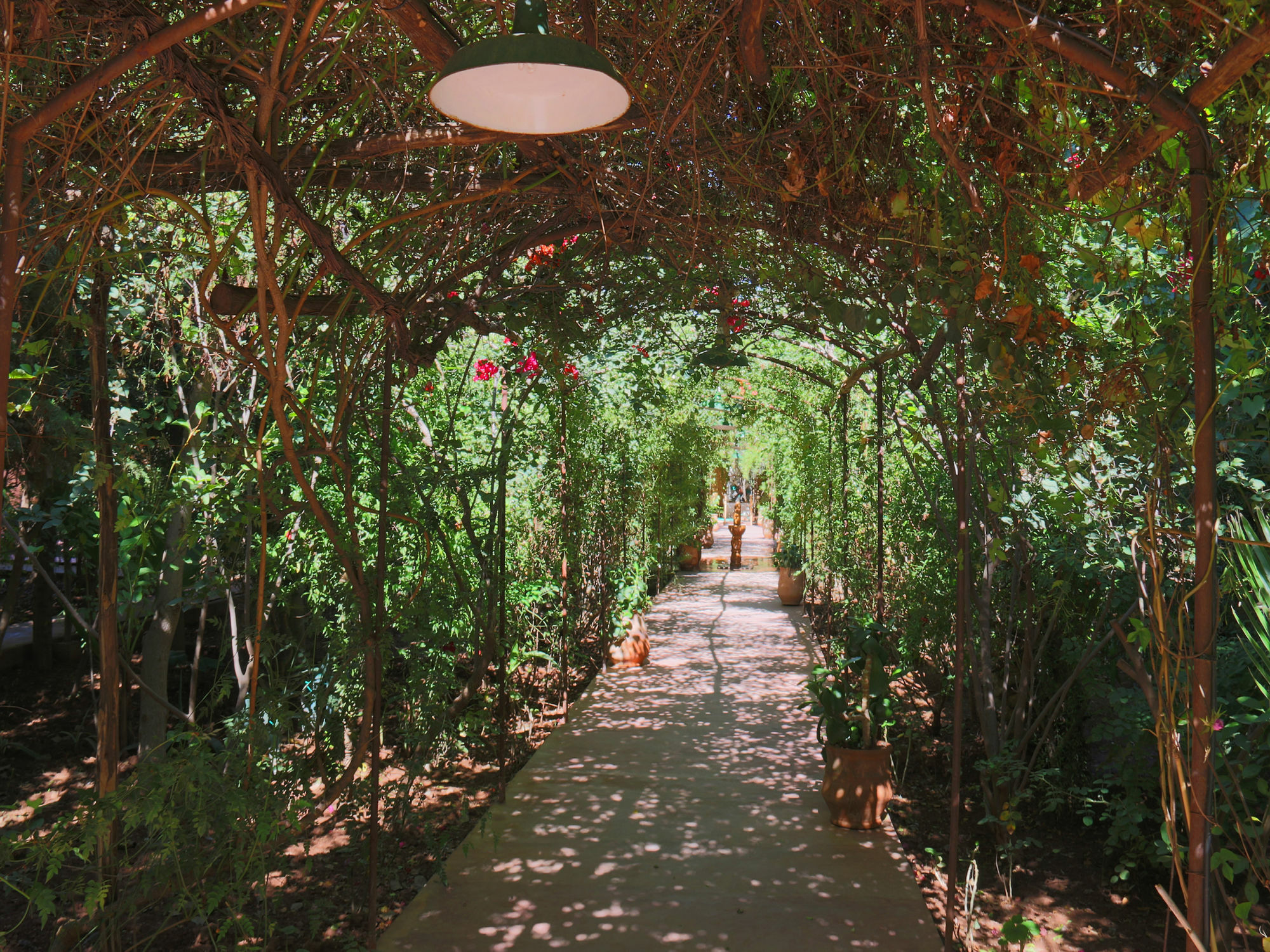 Le Jardin Touagana - Campement & Lodge Touggana 外观 照片