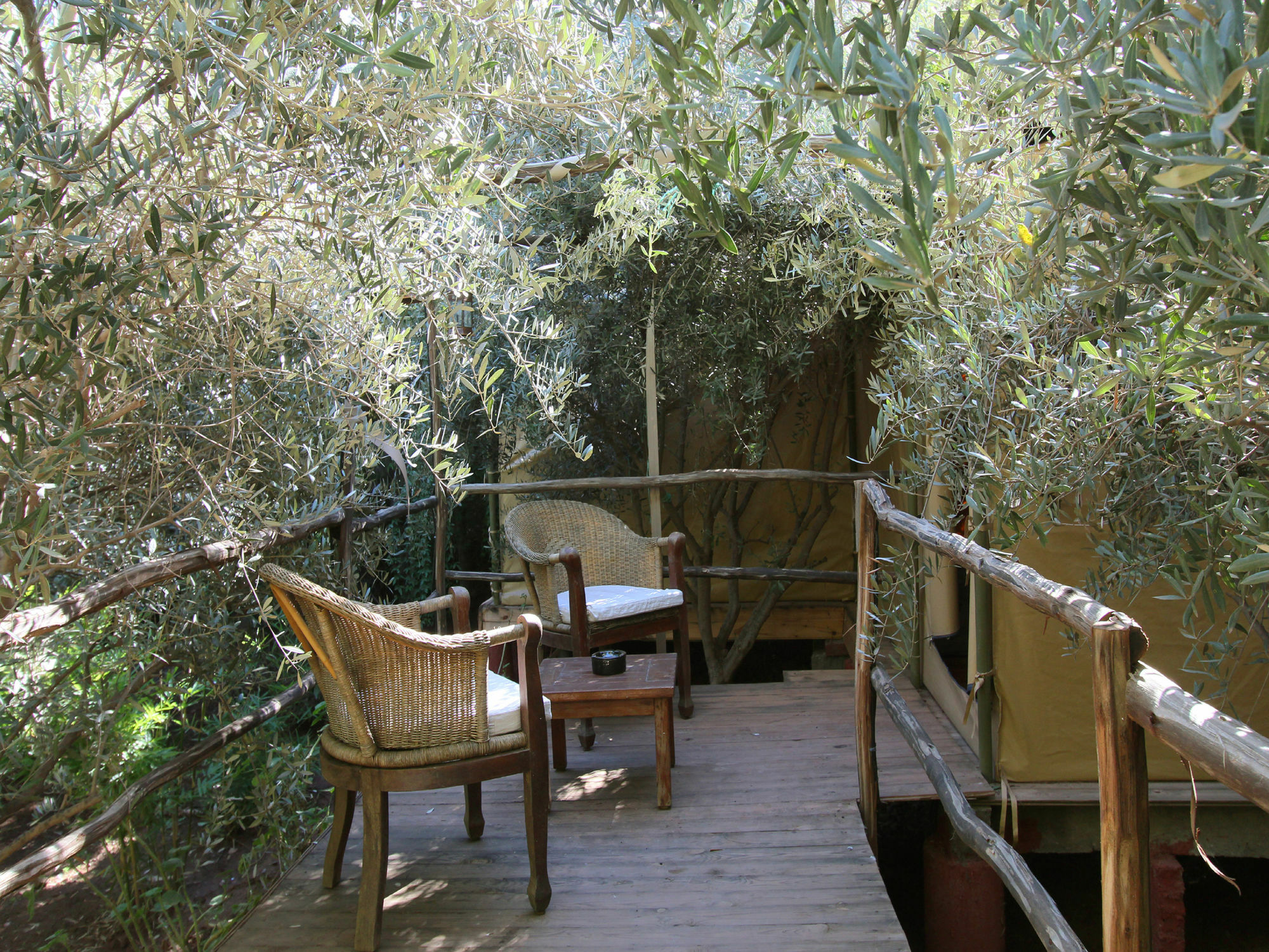 Le Jardin Touagana - Campement & Lodge Touggana 外观 照片